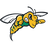 Black Hills State