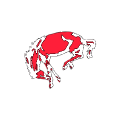 Barrington logo