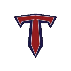 Mountain Vista logo