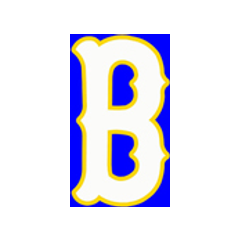 Blacksburg High School logo