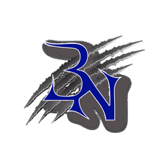 Northwest Nelson logo