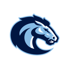 Christian Brothers Academy logo